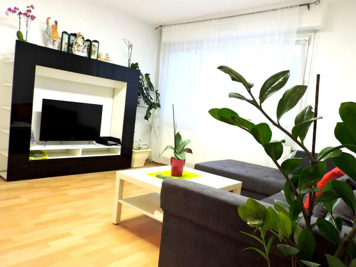 Private Big Appartment 59M2 - Near Airport Basel St Louis Сен-Луи Экстерьер фото